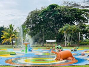 WhatsApp Image 2025-03-26 at 8.08