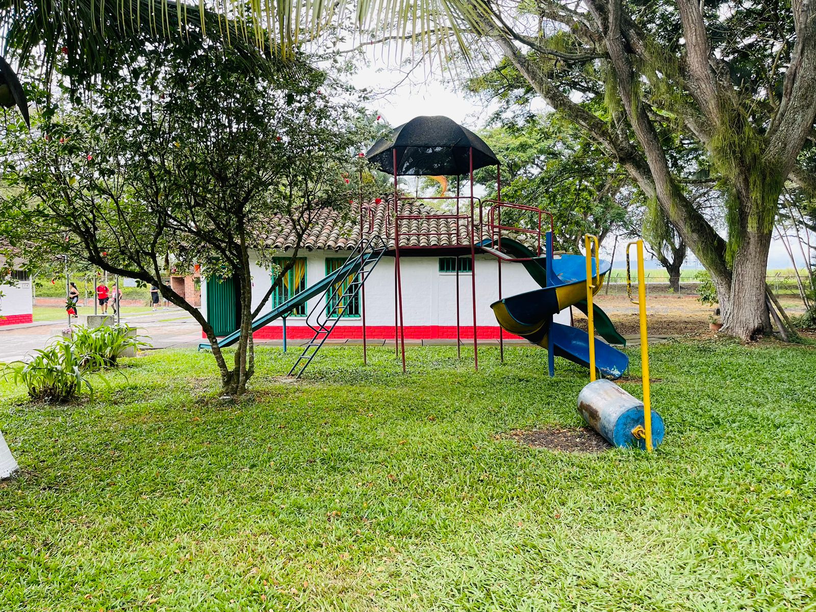 WhatsApp Image 2025-03-26 at 8.08.47 AM