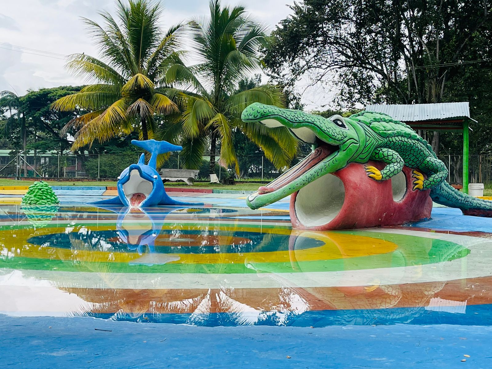 WhatsApp Image 2025-03-26 at 8.08.52 AM